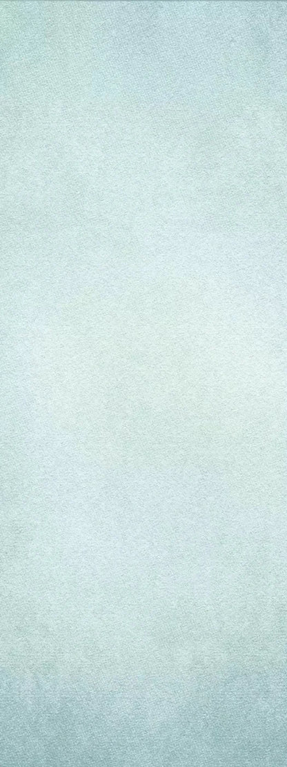 Simeon 8X20 Ultracloth ( 96 X 240 Inch ) Backdrop
