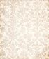 Beige Damask Backdrop for Photography