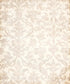 Beige Damask Backdrop for Photography