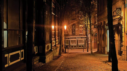 Sleeping Town 14X8 Ultracloth ( 168 X 96 Inch ) Backdrop