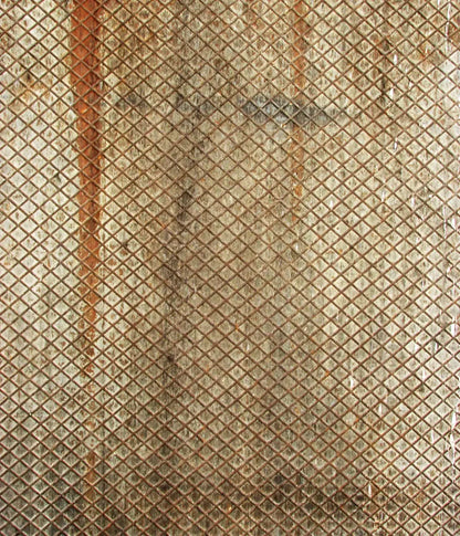 Slither 10’X12’ Ultracloth (120 X 144 Inch) Backdrop