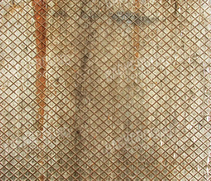 Slither 12’X10’ Ultracloth (144 X 120 Inch) Backdrop