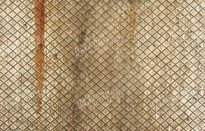 Slither 12’X8’ Ultracloth (144 X 96 Inch) Backdrop