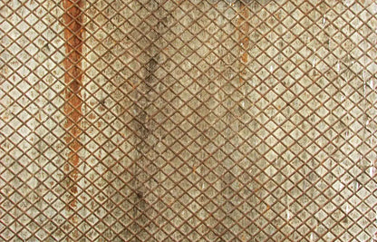 Slither 12’X8’ Ultracloth (144 X 96 Inch) Backdrop