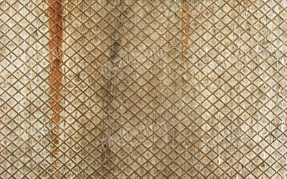 Slither 14’X9’ Ultracloth (168 X 108 Inch) Backdrop