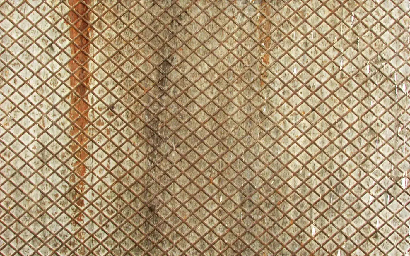 Slither 14’X9’ Ultracloth (168 X 108 Inch) Backdrop