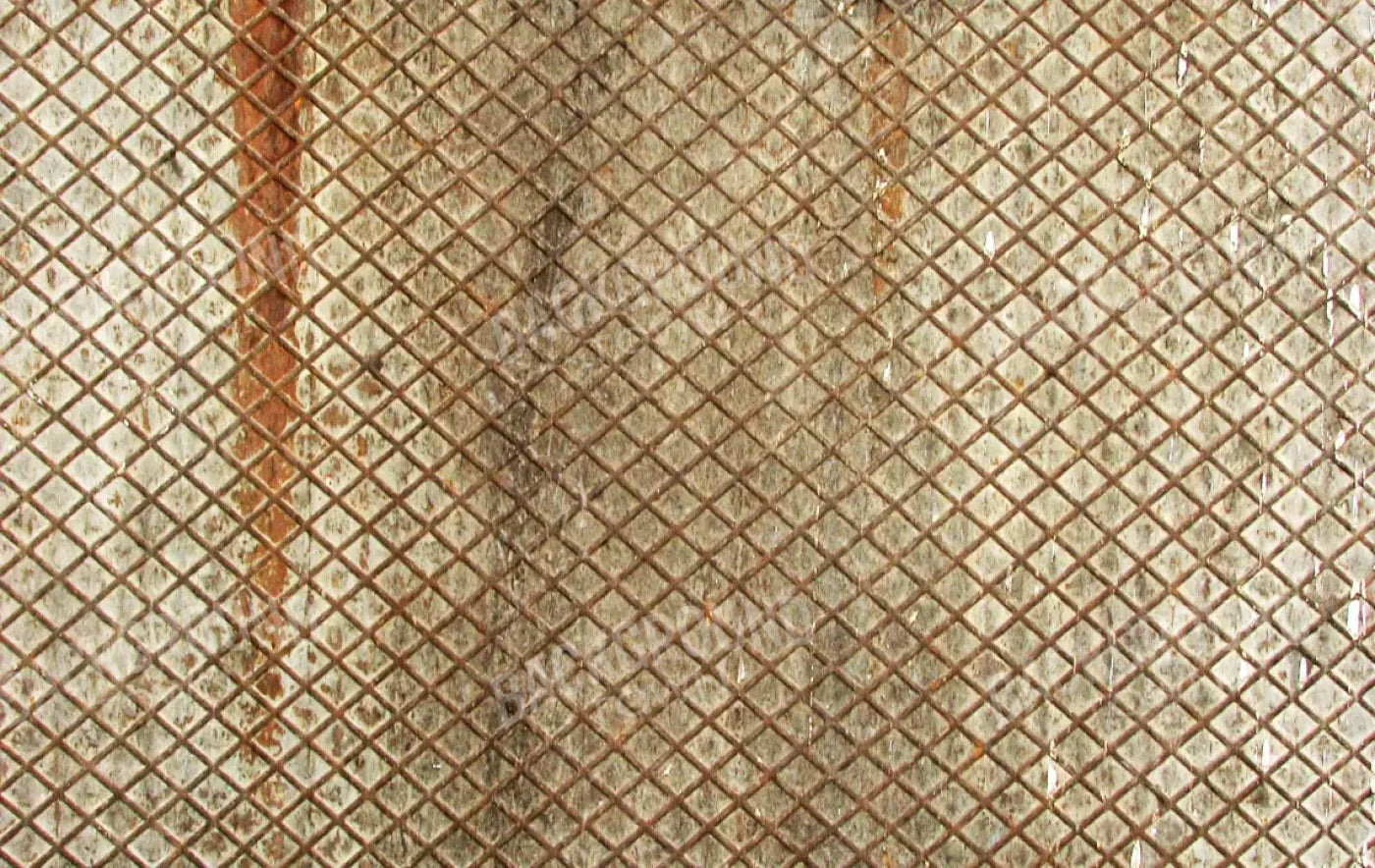 Slither 16’X10’ Ultracloth (192 X 120 Inch) Backdrop