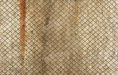 Slither 16’X10’ Ultracloth (192 X 120 Inch) Backdrop