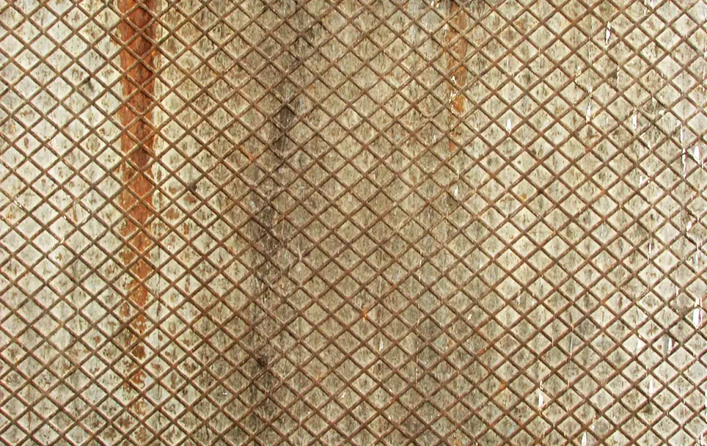 Slither 16’X10’ Ultracloth (192 X 120 Inch) Backdrop