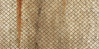 Slither 20’X10’ Ultracloth (240 X 120 Inch) Backdrop