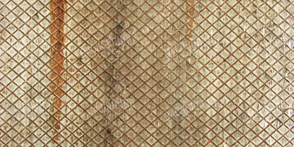 Slither 20’X10’ Ultracloth (240 X 120 Inch) Backdrop