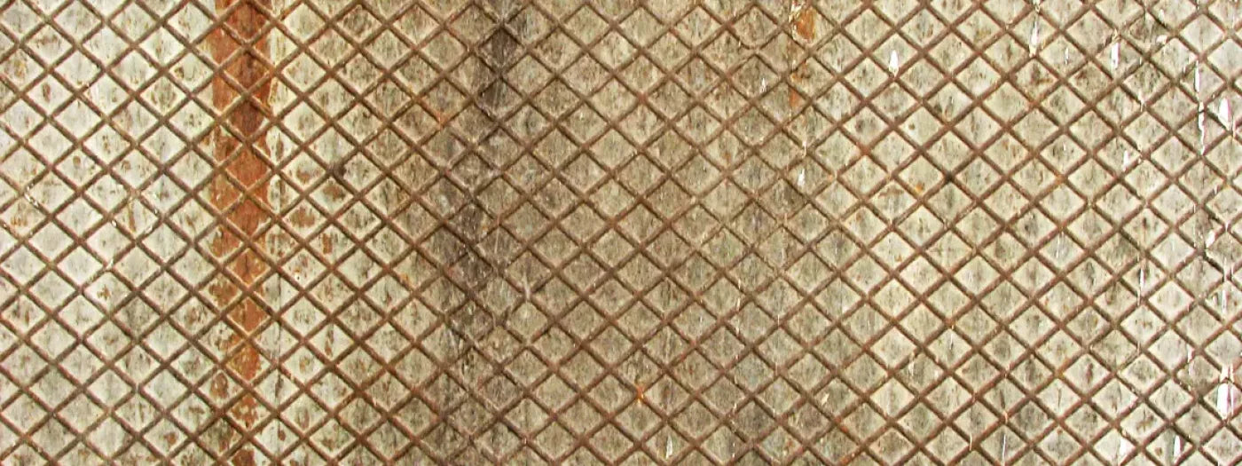 Slither 20’X8’ Ultracloth (240 X 96 Inch) Backdrop