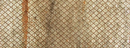 Slither 20’X8’ Ultracloth (240 X 96 Inch) Backdrop