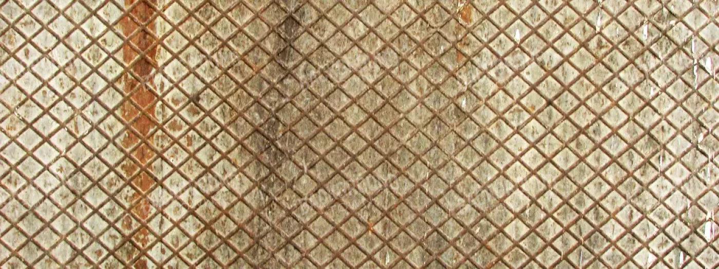 Slither 20’X8’ Ultracloth (240 X 96 Inch) Backdrop