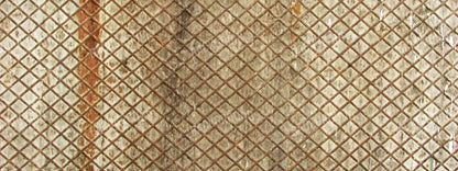 Slither 20’X8’ Ultracloth (240 X 96 Inch) Backdrop