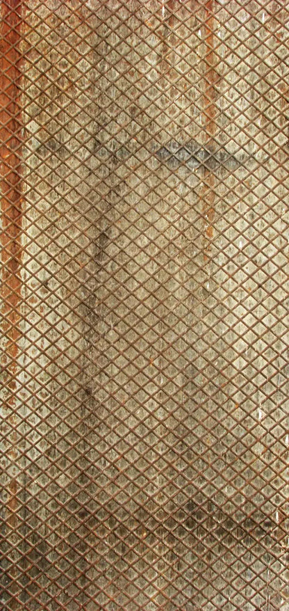 Slither 8’X16’ Ultracloth (96 X 192 Inch) Backdrop