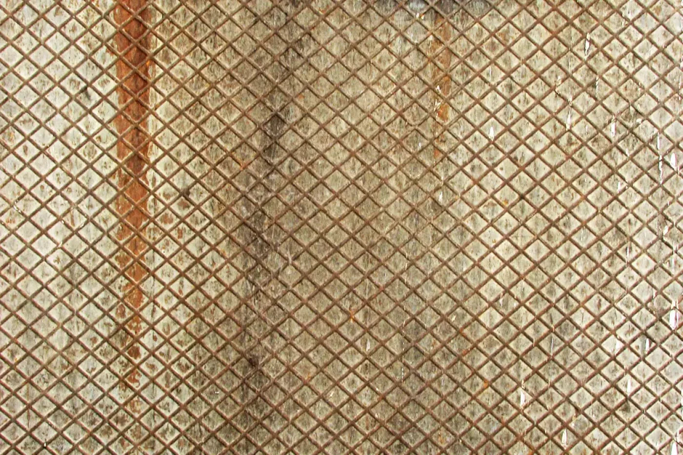 Slither 8’X5’ Ultracloth (96 X 60 Inch) Backdrop