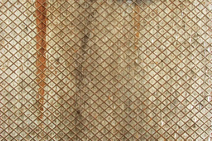 Slither 8’X5’ Ultracloth (96 X 60 Inch) Backdrop