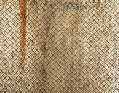 Slither 8’X6’ Fleece (96 X 72 Inch) Backdrop