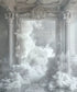   Backdrop for Photography