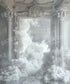   Backdrop for Photography
