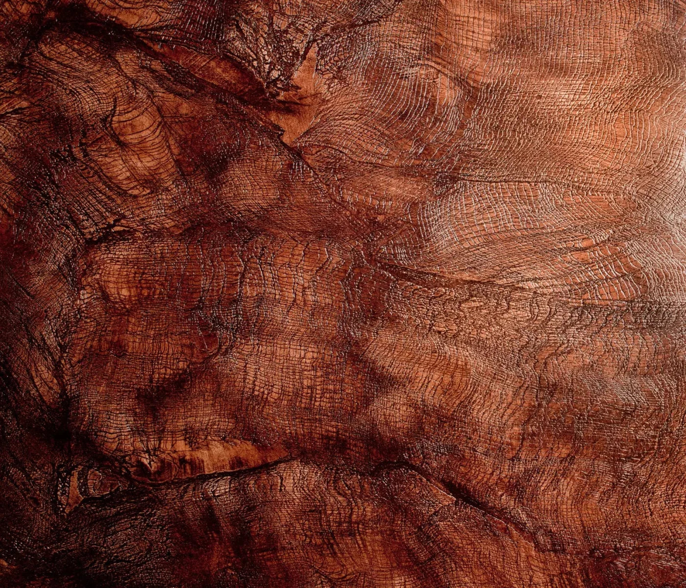 Snake Skin 12X10 Ultracloth ( 144 X 120 Inch ) Backdrop
