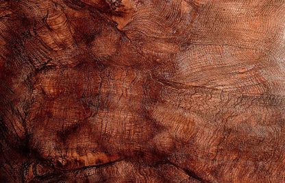 Snake Skin 12X8 Ultracloth ( 144 X 96 Inch ) Backdrop