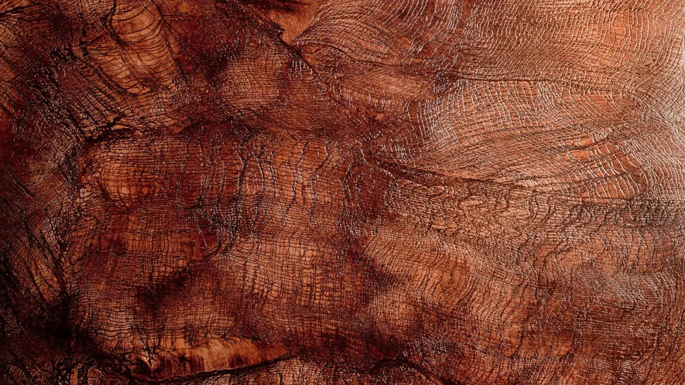 Snake Skin 14X8 Ultracloth ( 168 X 96 Inch ) Backdrop