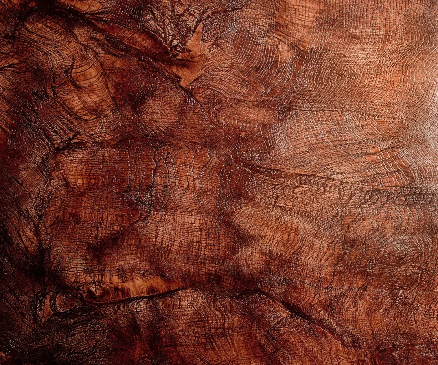 Snake Skin 5X42 Fleece ( 60 X 50 Inch ) Backdrop