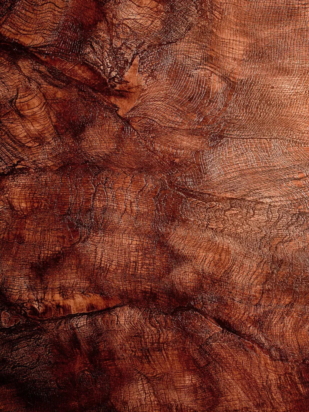 Snake Skin 5X68 Fleece ( 60 X 80 Inch ) Backdrop