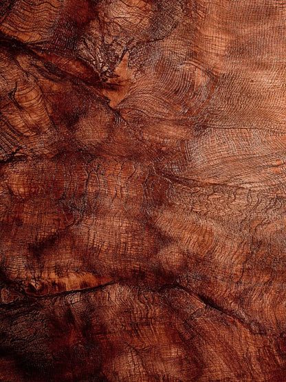 Snake Skin 5X68 Fleece ( 60 X 80 Inch ) Backdrop