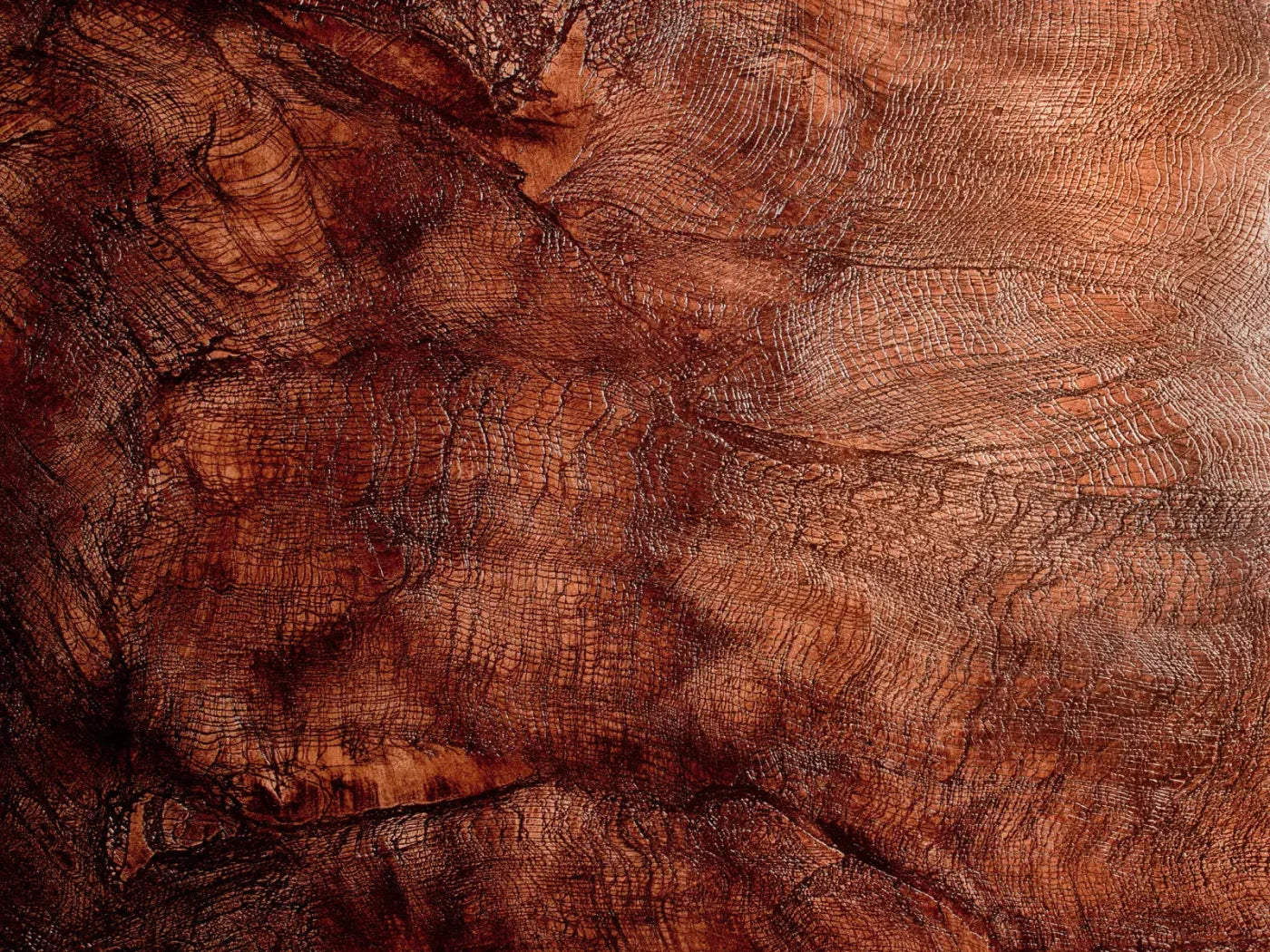 Snake Skin 68X5 Fleece ( 80 X 60 Inch ) Backdrop