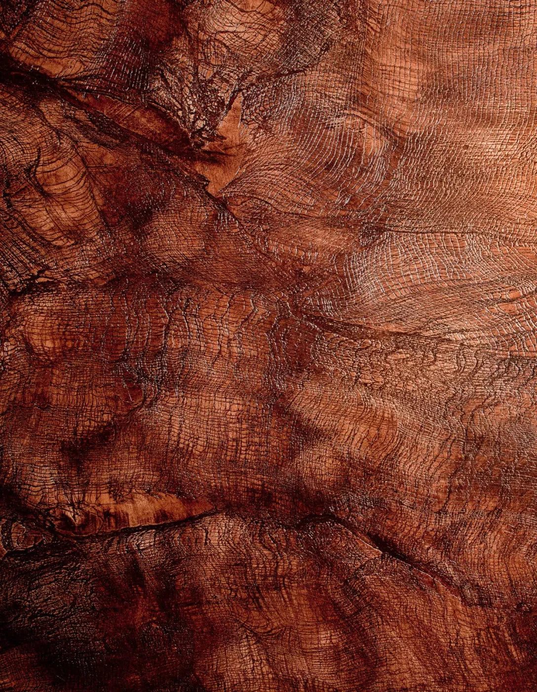 Snake Skin 6X8 Fleece ( 72 X 96 Inch ) Backdrop