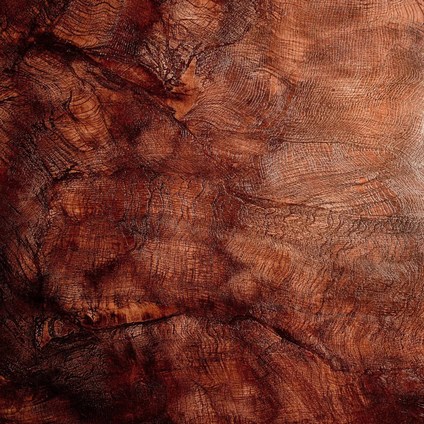 Snake Skin 8X8 Fleece ( 96 X Inch ) Backdrop