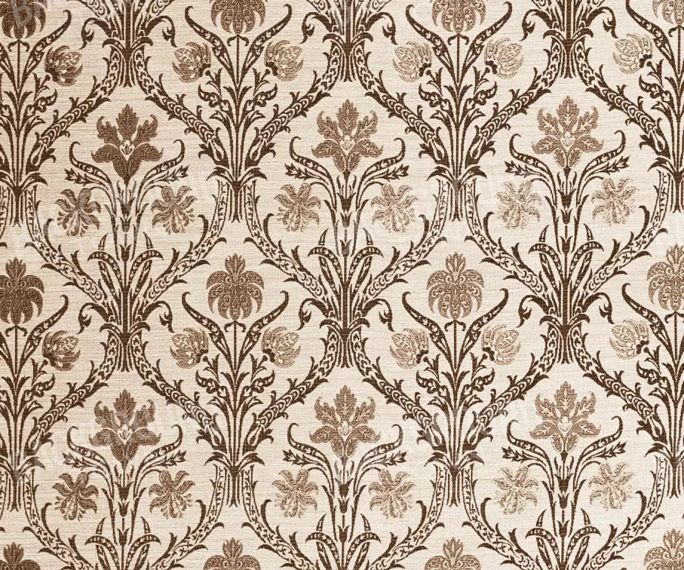 Snazzy 5X42 Fleece ( 60 X 50 Inch ) Backdrop