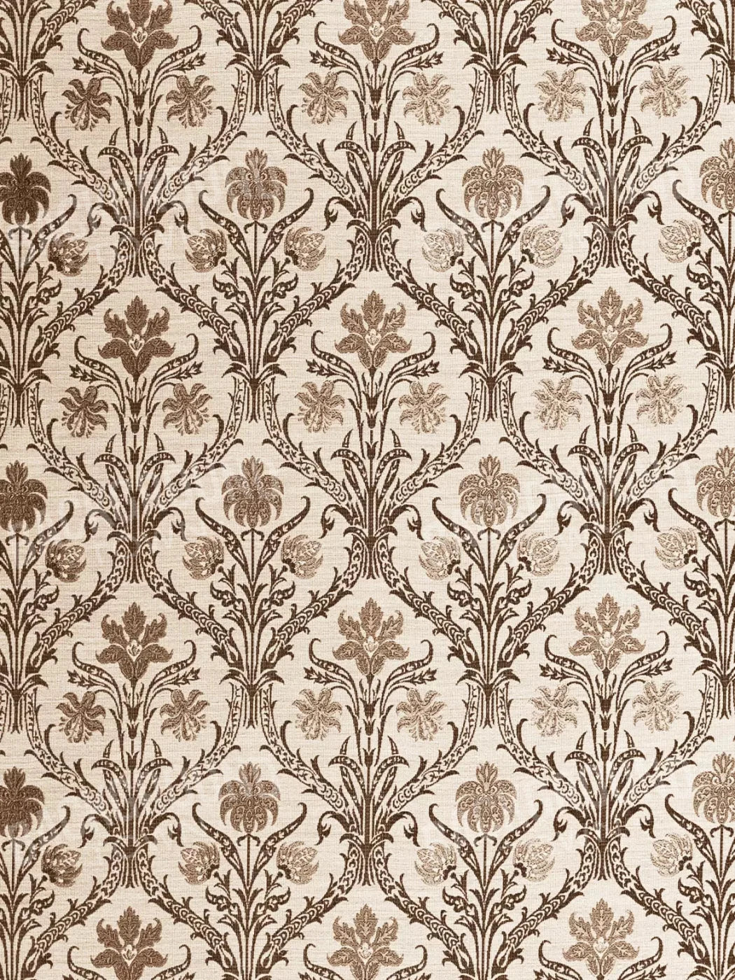 Snazzy 5X68 Fleece ( 60 X 80 Inch ) Backdrop