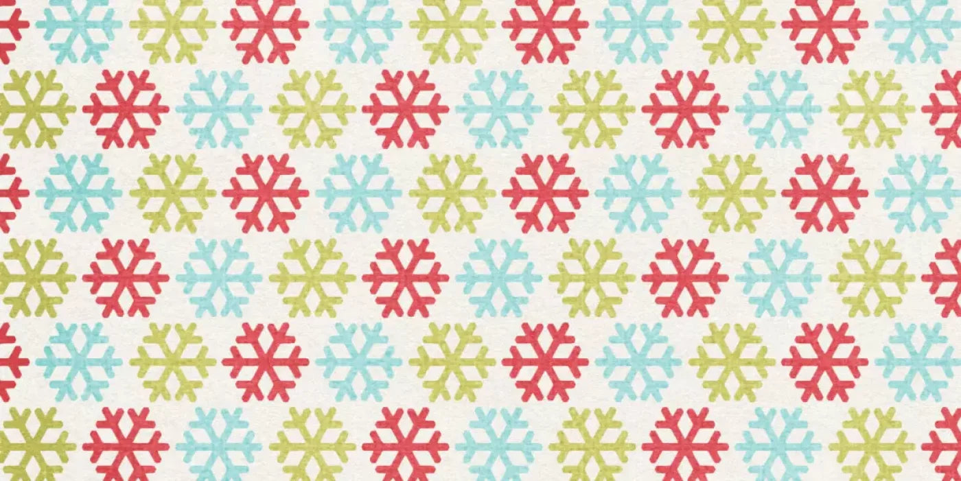 Snow Much Fun 20’X10’ Ultracloth (240 X 120 Inch) Backdrop