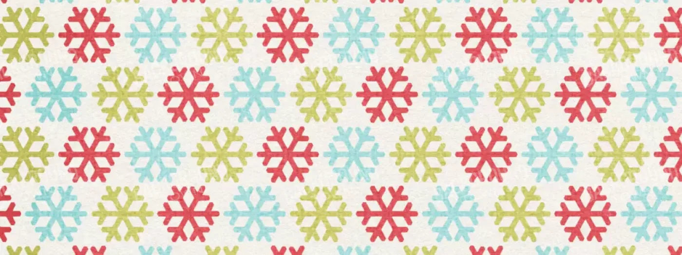 Snow Much Fun 20’X8’ Ultracloth (240 X 96 Inch) Backdrop