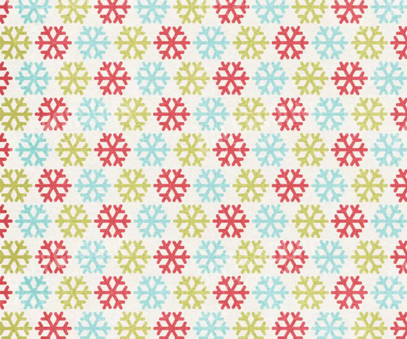 Snow Much Fun 5’X4’2’ Fleece (60 X 50 Inch) Backdrop