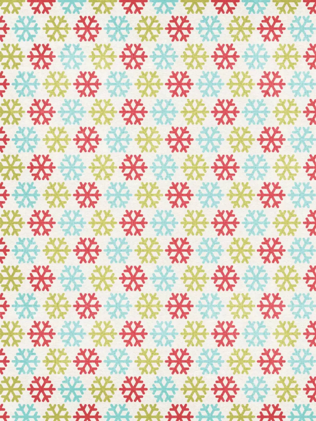 Snow Much Fun 5’X7’ Ultracloth (60 X 84 Inch) Backdrop