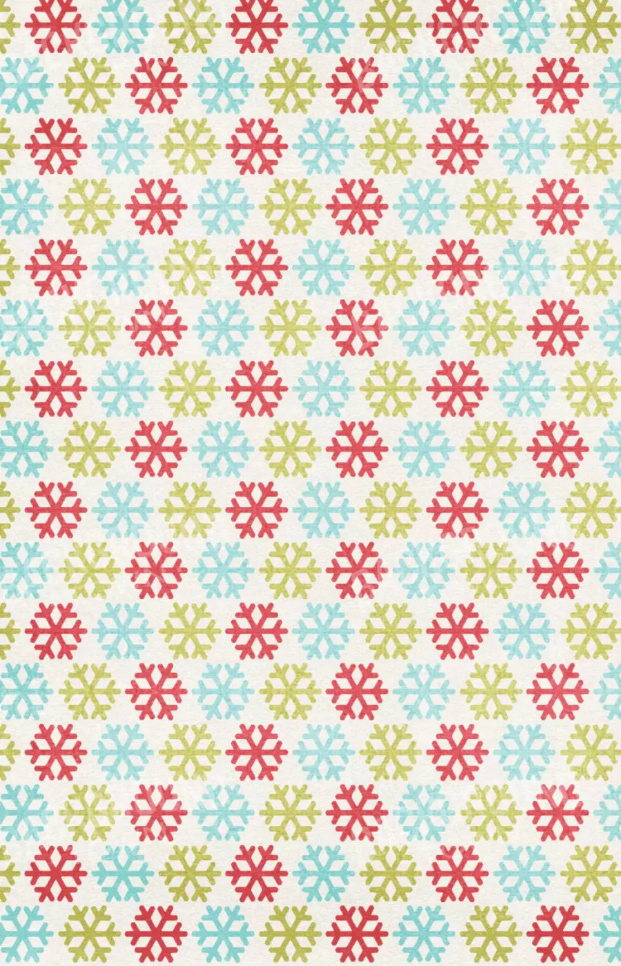 Snow Much Fun 8’X12’ Ultracloth (96 X 144 Inch) Backdrop