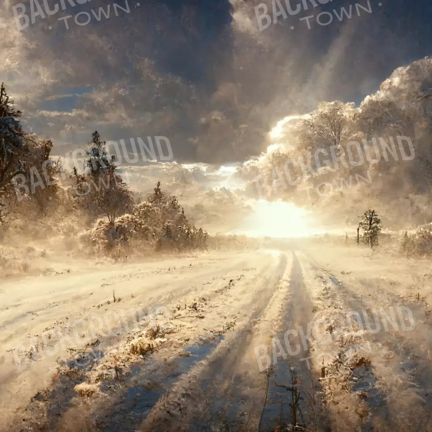 Snowy Field 10’X10’ Ultracloth (120 X Inch) Backdrop