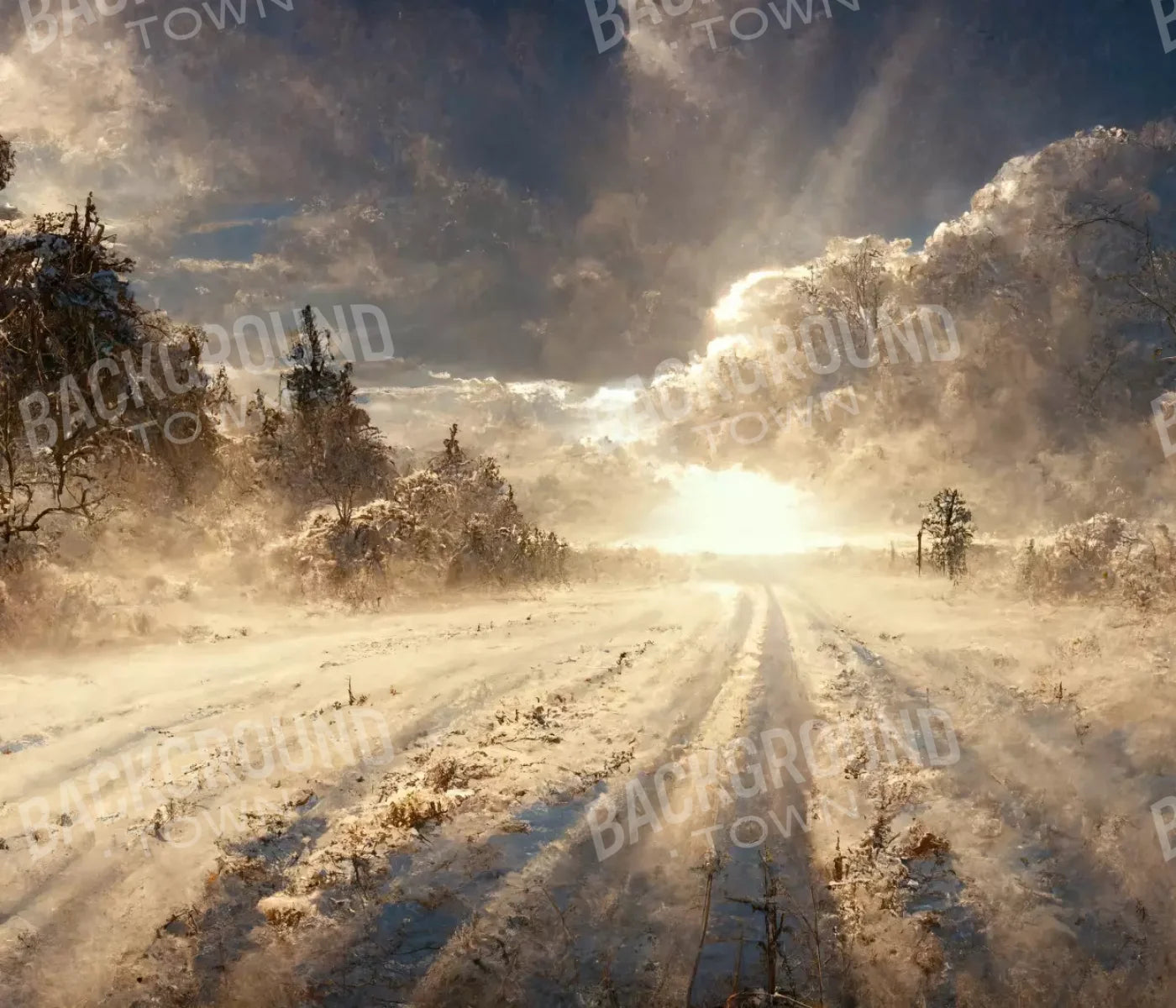 Snowy Field 12’X10’ Ultracloth (144 X 120 Inch) Backdrop