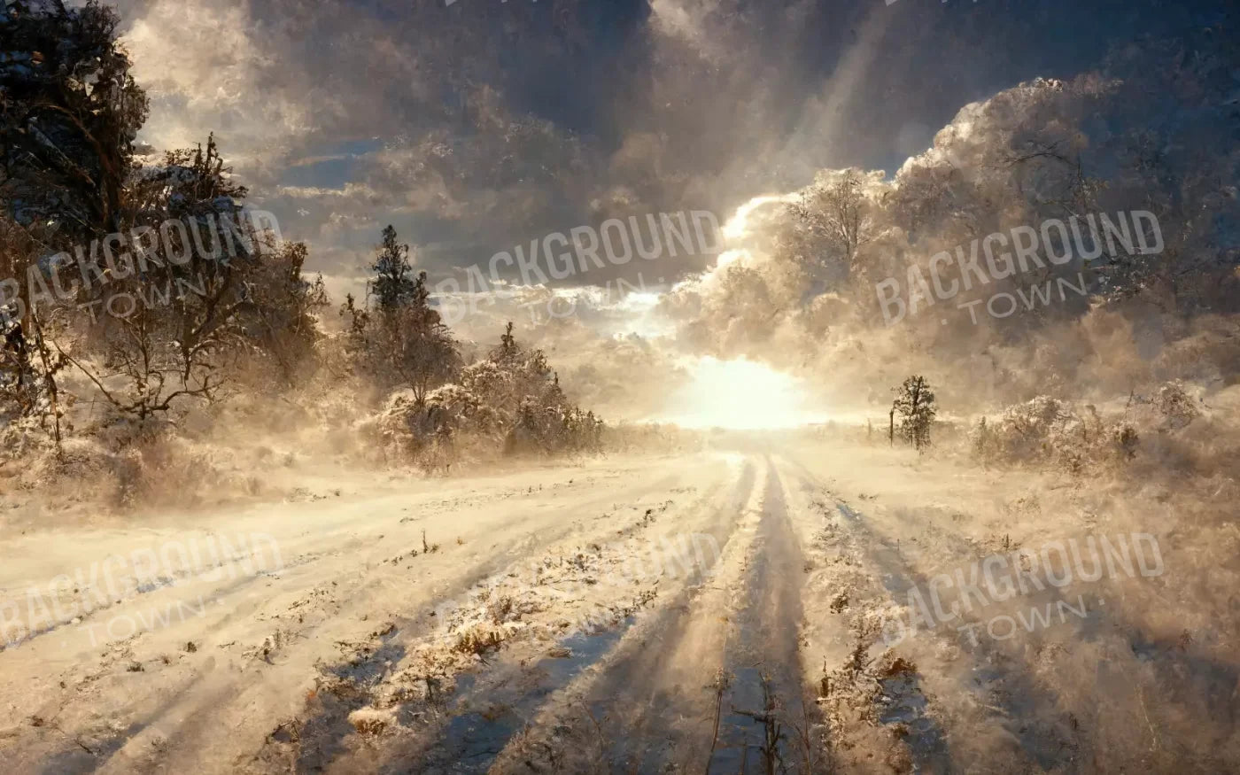 Snowy Field 14’X9’ Ultracloth (168 X 108 Inch) Backdrop