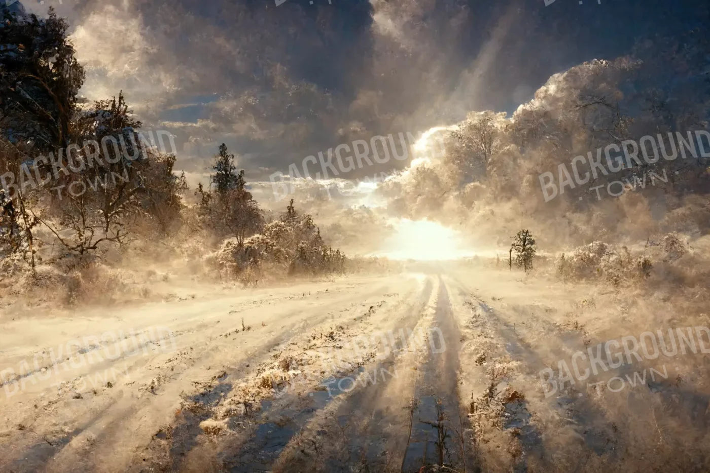 Snowy Field 8’X5’ Ultracloth (96 X 60 Inch) Backdrop