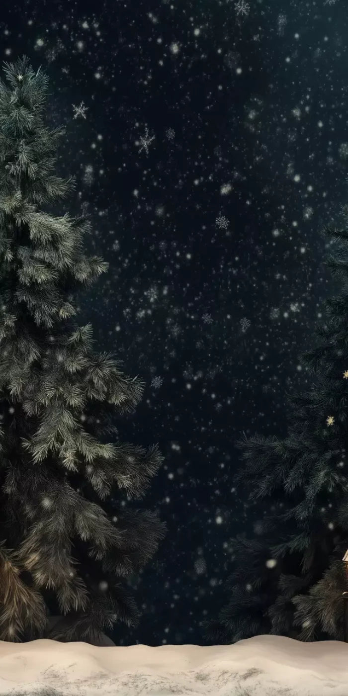 Snowy Forest With Lanterns 10’X20’ Ultracloth (120 X 240 Inch) Backdrop