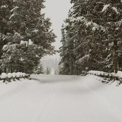 Snowy Roads 10’X10’ Ultracloth (120 X Inch) Backdrop