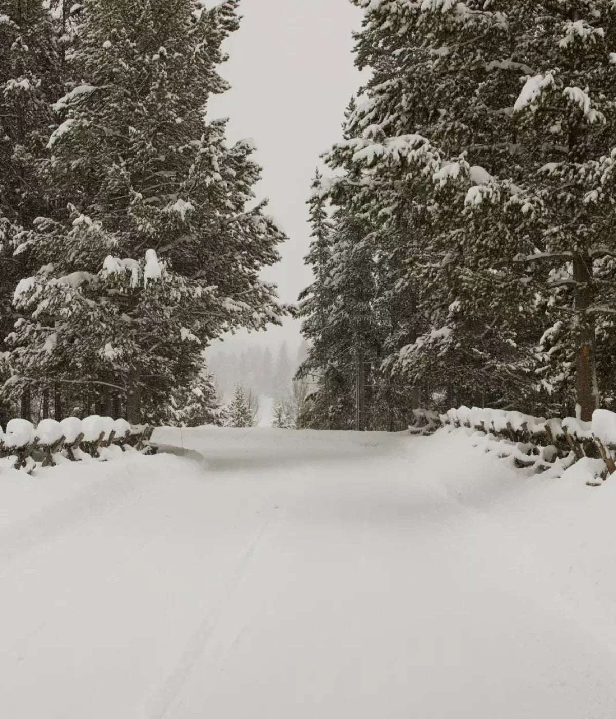 Snowy Roads 10’X12’ Ultracloth (120 X 144 Inch) Backdrop