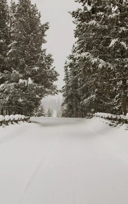 Snowy Roads 10’X16’ Ultracloth (120 X 192 Inch) Backdrop