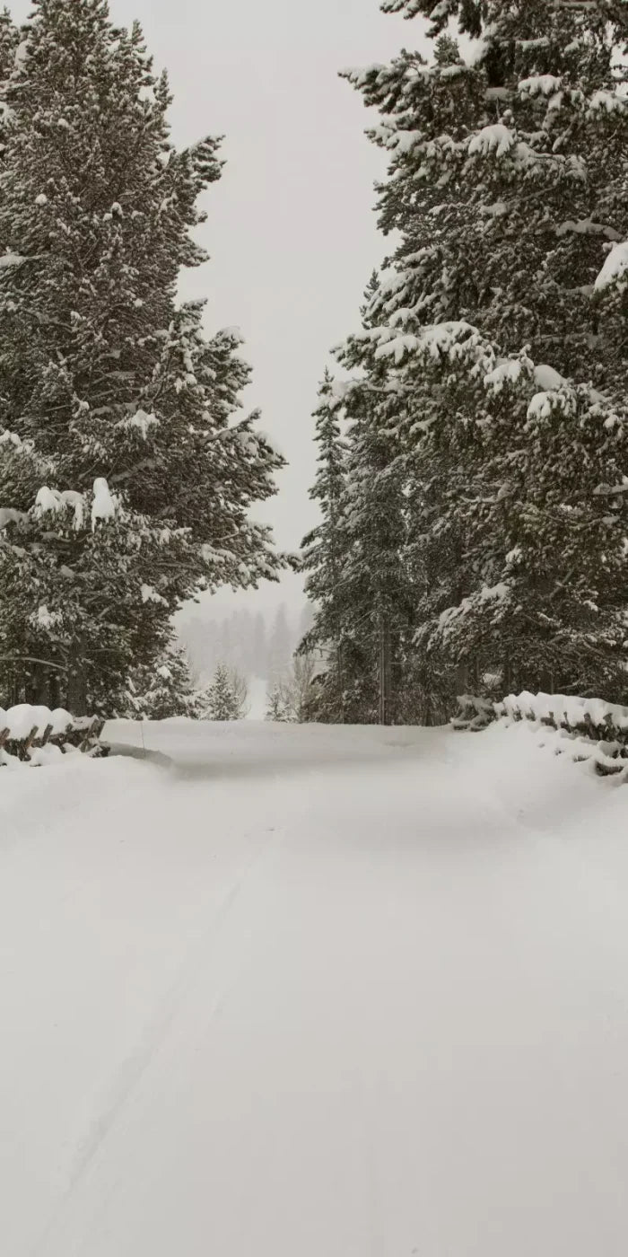 Snowy Roads 10’X20’ Ultracloth (120 X 240 Inch) Backdrop